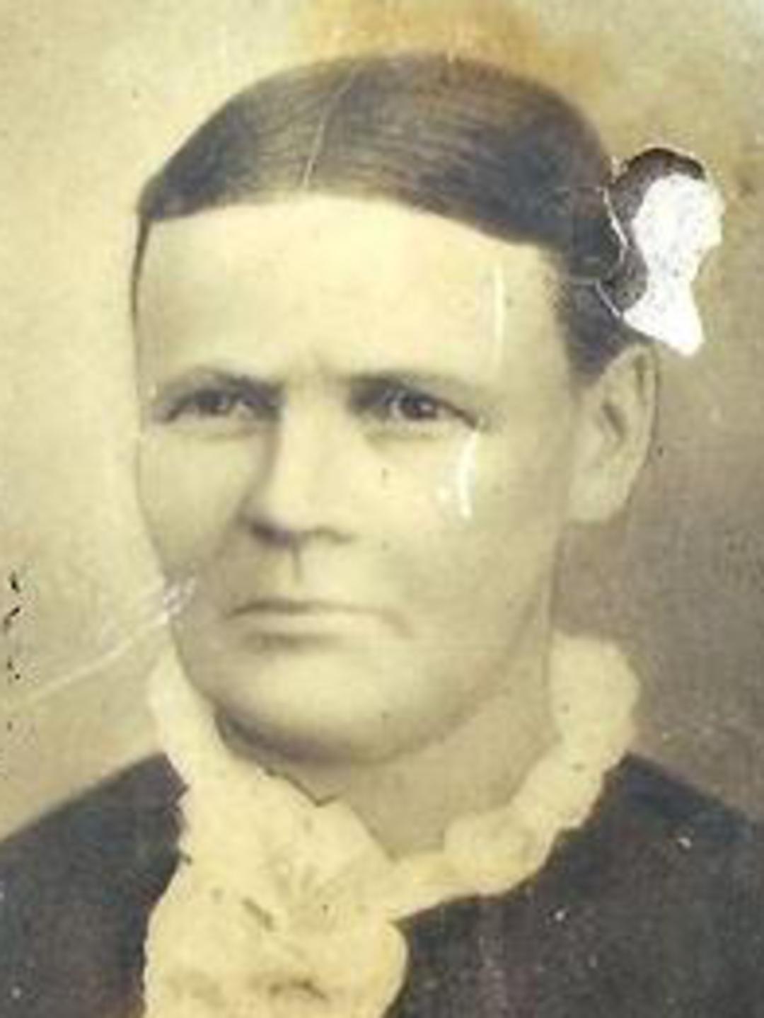 Mary Ward (1829 - 1883) Profile